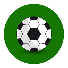 Soccer ball on a green background. Vector Image