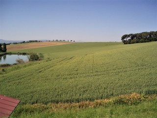 Felder mit Fluss in Italien