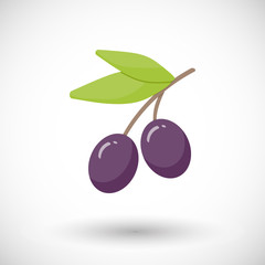 Olive branch vector flat icon
