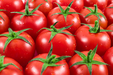 tomatoes
