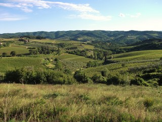 Fototapeta na wymiar Hügellandschaft mit Feldern in Italien