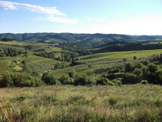 Fototapeta na wymiar Hügellandschaft mit Feldern in Italien