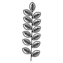 leafs wreath decorative icon vector illustration design