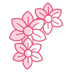 beautiful flowers decorative icon vector illustration design vector illustration design
