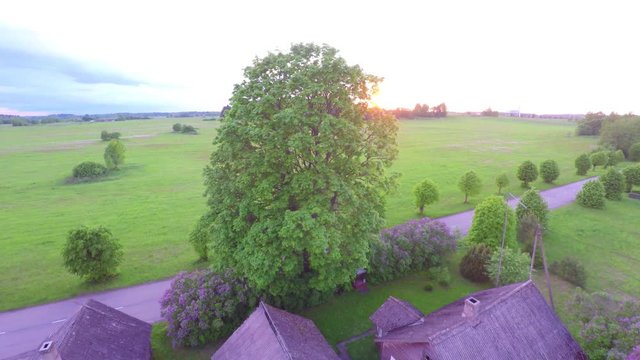 Traditional Estonian house golden hour aerial view 4K. Flying above the old Estonian building at sunset in background. Aerial footage landscape panorama.