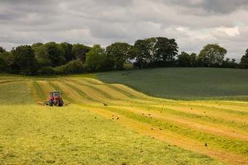 Red tractor mowing Irish field