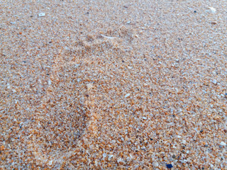 Natural background of human footprint in the wet sandy seaside. Close-up photography on relaxation sign idea design