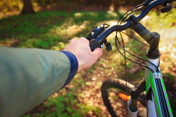 Hands hold the wheel of a bicycle in a green park on a sunny summer day