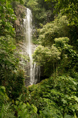 Fototapeta na wymiar Wailua Falls on the road to Hana in Maui