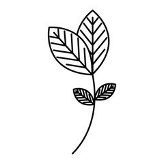 leafs plant ecology icon vector illustration design