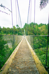 Obraz premium Arapuni Bridge over a Hydroelectric Power Station on Waikato river, Arapuni, New Zealand
