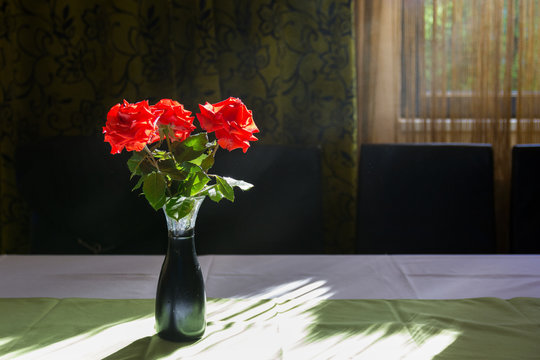 Red roses in a vase with back light from the window