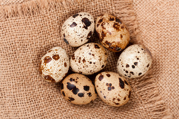 Obraz premium Several quail eggs on burlap. Close-up. Top view