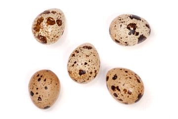 Several quail eggs isolated on white background. Top view
