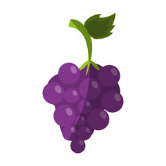 Sweet fruit grapes icon vector illustration design graphic shadow