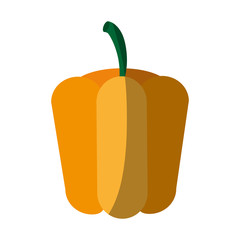 Melon sweet fruit icon vector illustration design graphic shadow