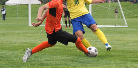 Obraz premium Piłka nożna