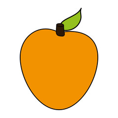 Melon sweet fruit icon vector illustration design graphic