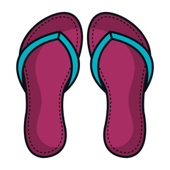 flip flops isolated icon vector illustration design