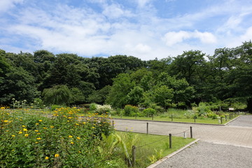 ６月の植物公園