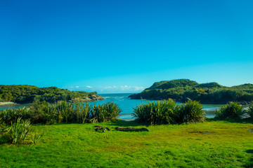 Fototapeta premium Beautiful view to sandy beach in Cape Foulwind on the West Coast of New Zealand