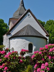Fototapeta na wymiar Petrikirche zu Bosau mit Rhododendren