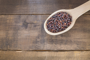 Black Mustard Seeds - Brassica nigra