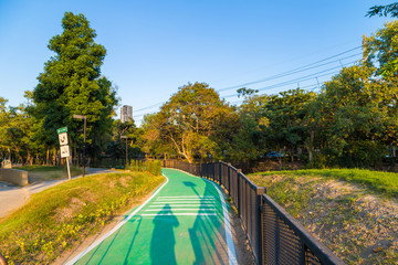 Green bicycle road in park with blue sky