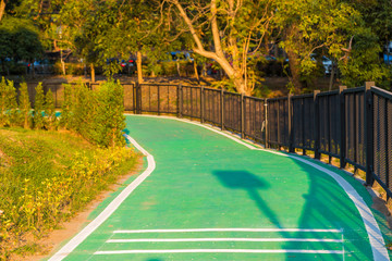 Green bicycle road in park with blue sky