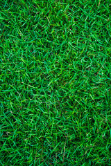 Green nature grass soccer field background