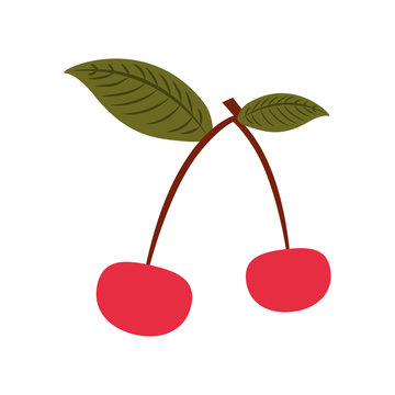 cherry tropical and exotic fruit vector illustration design