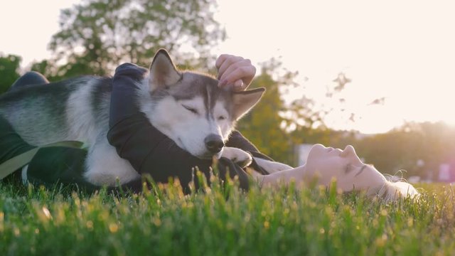 Beautiful young woman playing with funny husky dog outdoors in park