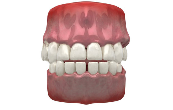 Denti Umani, Dentista, Dentizione, Anatomia, 3d