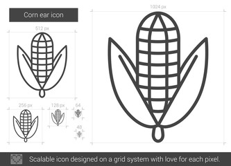 Corn ear vector line icon isolated on white background. Corn ear line icon for infographic, website or app. Scalable icon designed on a grid system.