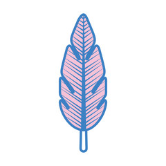 tropical leaf summer icon vector illustration design