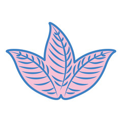tropical leaf summer icon vector illustration design