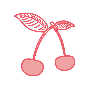 cherry tropical and exotic fruit vector illustration design