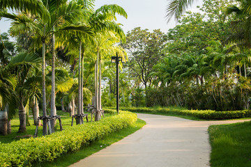 Fototapeta premium Jogging track at the green park
