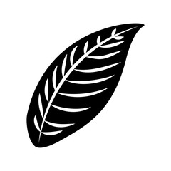 tropical leaf summer icon vector illustration design