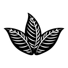 tropical leaf summer icon vector illustration design