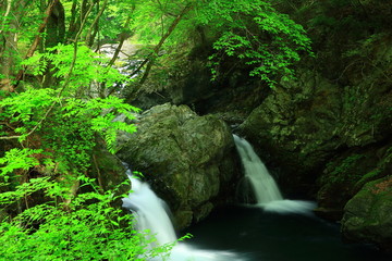 夏の大滝小滝