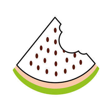 watermelon tropical and exotic fruit vector illustration design