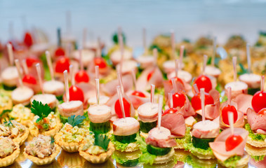 Assortment of canapes. Banquet service.