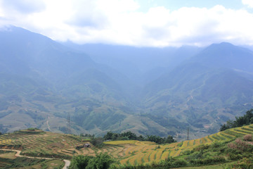 many terraced rice fields with Hmong village in Sapa