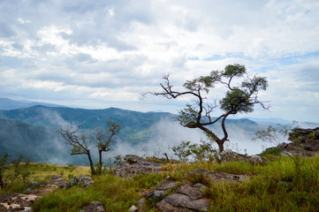 Tabuleiro