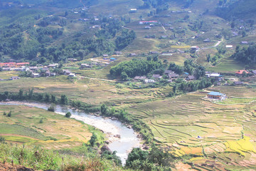 Naklejka premium many terraced rice fields with Hmong village in Sapa