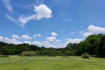 Fototapeta na wymiar ６月の植物公園