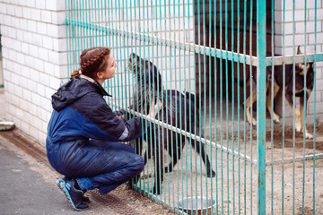 Girl volunteer in the nursery for dogs. Shelter for stray dogs.