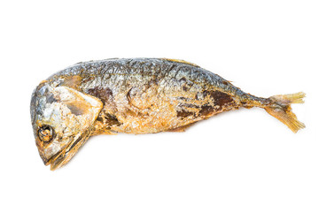 mackerel fish on white background