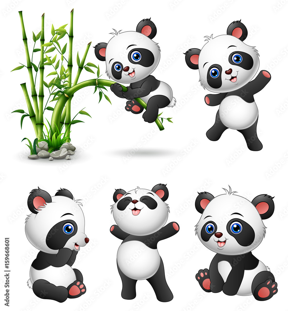 Poster cute baby pandas collection